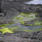 Rockpool