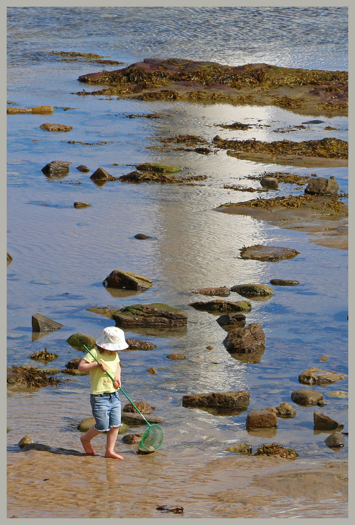 rockpooling near st marys lighthouse 2