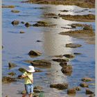 rockpooling near st marys lighthouse 2