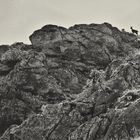 Rocks