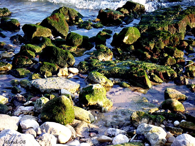 Rocks and sea