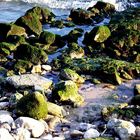 Rocks and sea