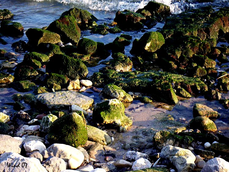 Rocks and sea