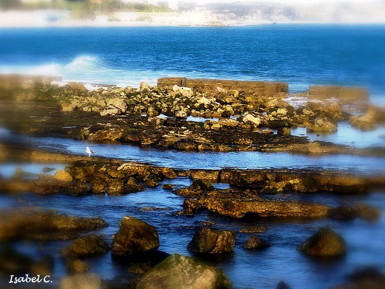 Rocks and sea