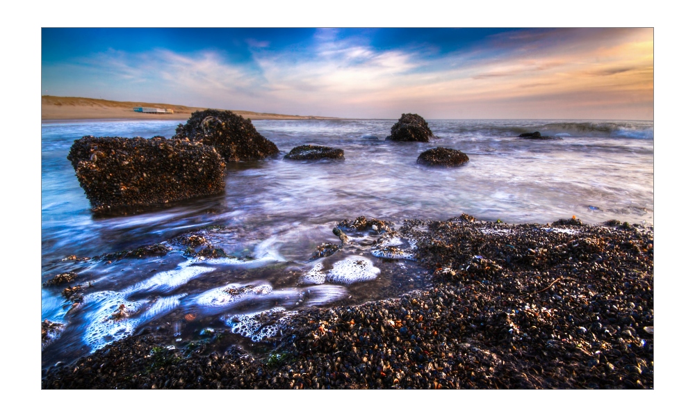 Rocks and Shells