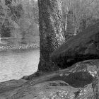 Rocks at Frank Liske Park