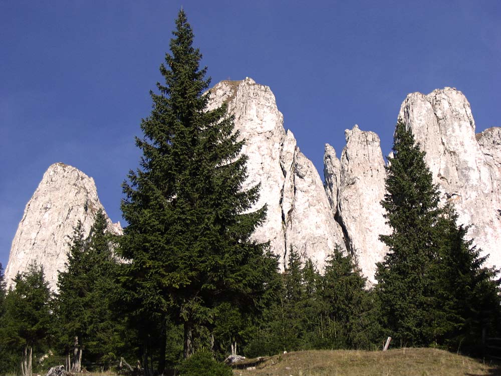 Rocks near Miercurea-Ciuc