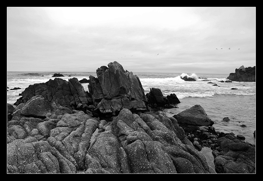 Rocks near Pacific Groove, CA