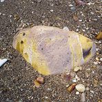 Rocks on Lameroo Beach II