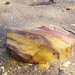 Rocks on Lameroo Beach V