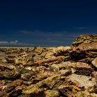 Rocks On Nightcliff Beach