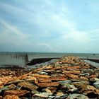 Rocks & seashore