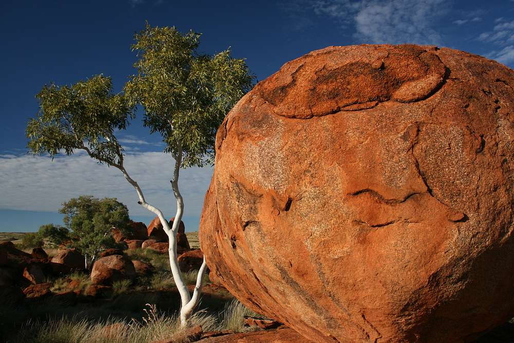 Rocks & Trees