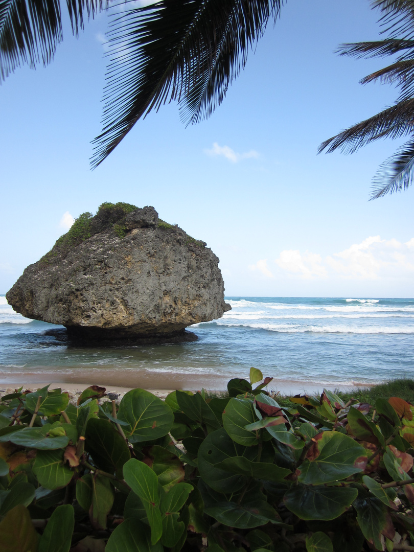 Rockstar or Star-Rock?...           Question at Bathsheba Barbados