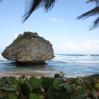 Rockstar or Star-Rock?...           Question at Bathsheba Barbados