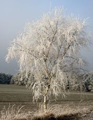 ROCKSTEDT WINTERSCHLAF 4