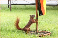 Rocky hat die Flagge gehisst!