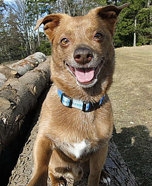 Rocky lacht verschmitzt