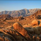 Rocky Landscape