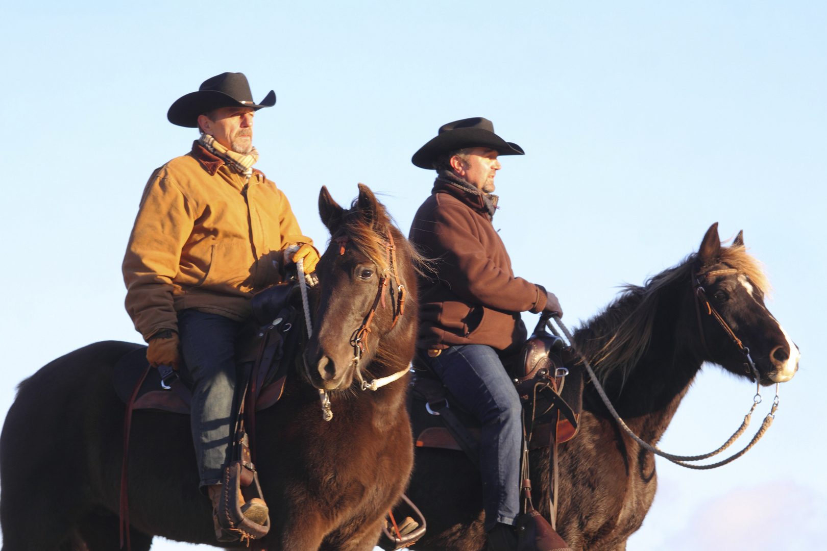 Rocky Mountain Horses