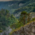 Rocky Mountain in Bayern