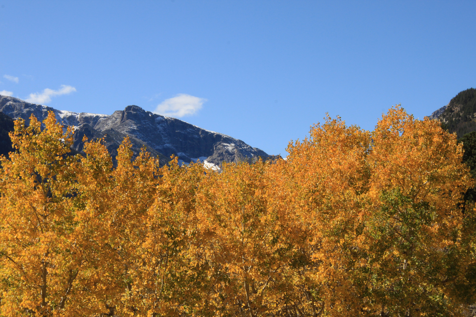 Rocky Mountain National Park im Herbst