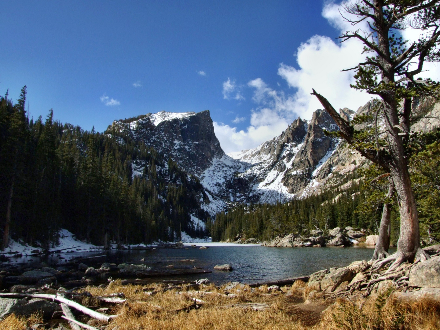 Rocky Mountain N.P.