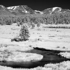 Rocky Mountain NP als IR (# 2)