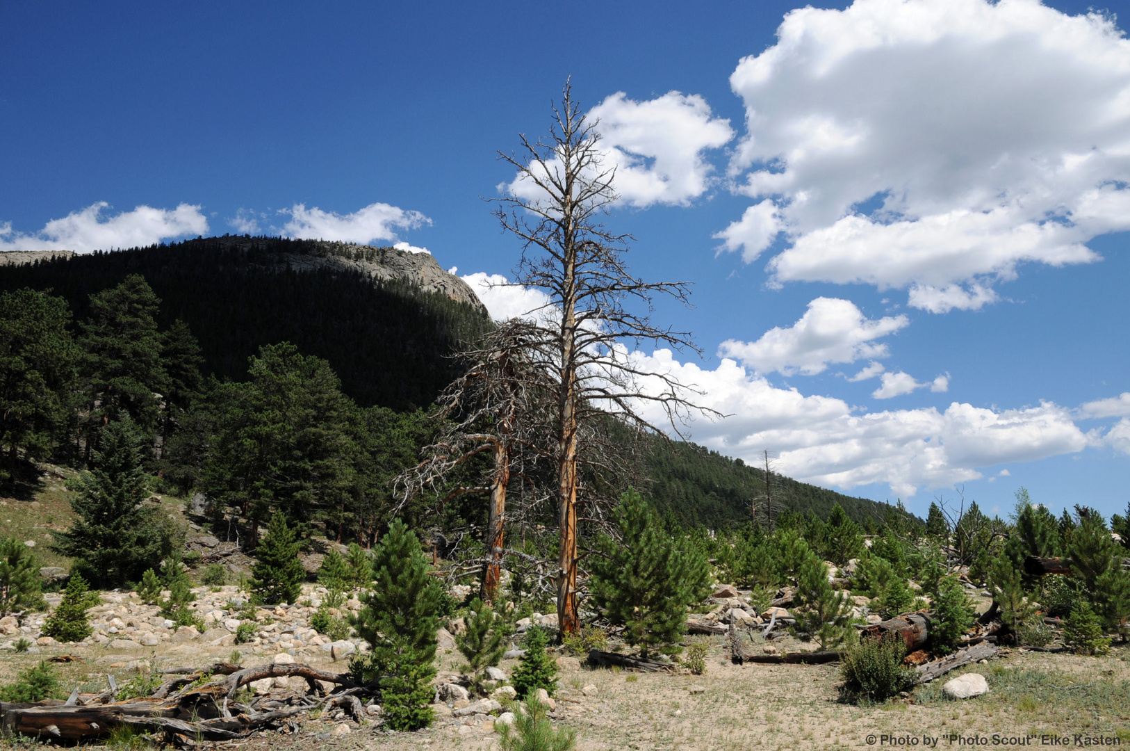 Rocky Mountain NP (CO) - 02