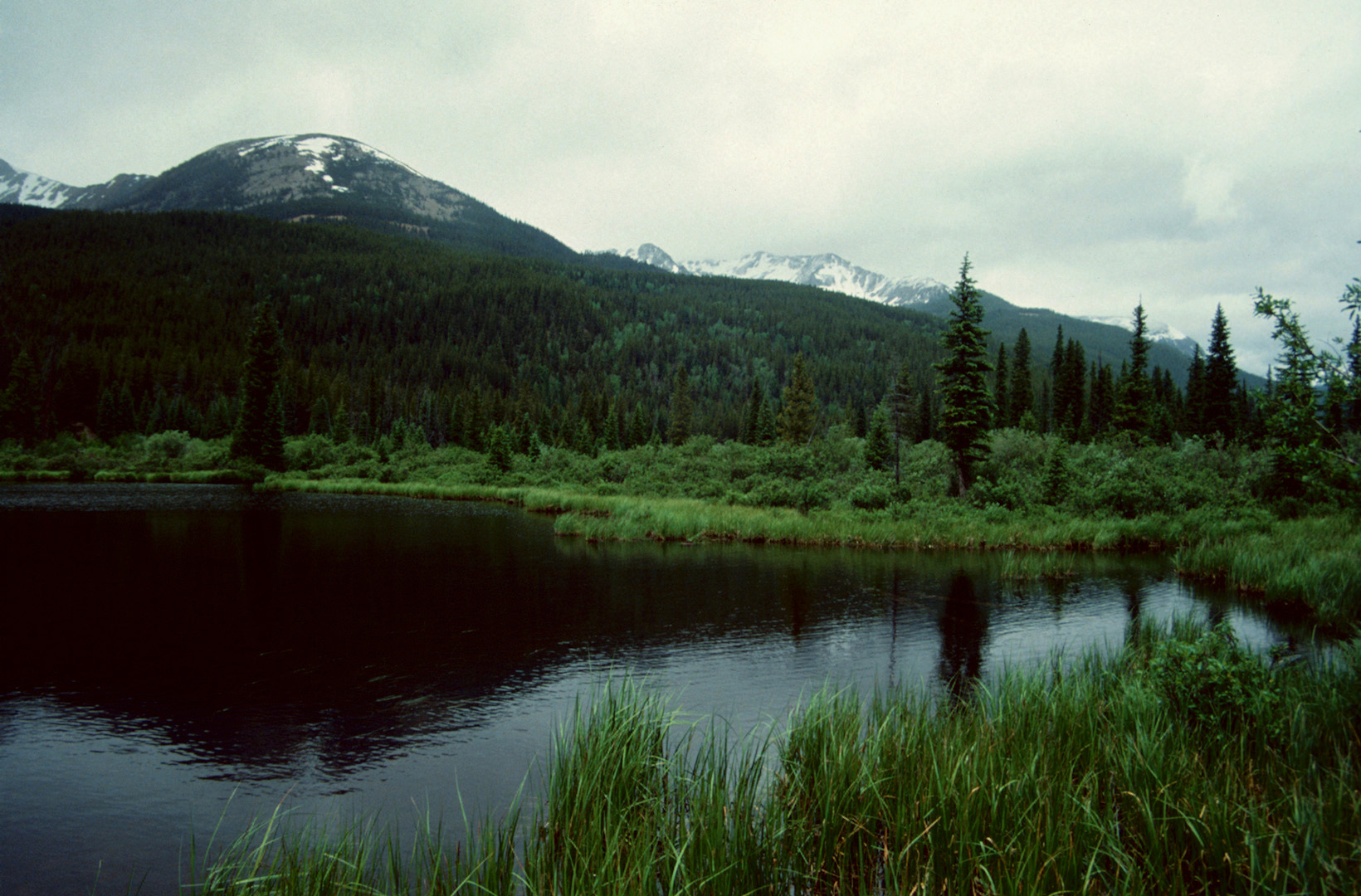 Rocky Mountain N.P., CO - 1993 (1)