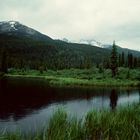 Rocky Mountain N.P., CO - 1993 (1)