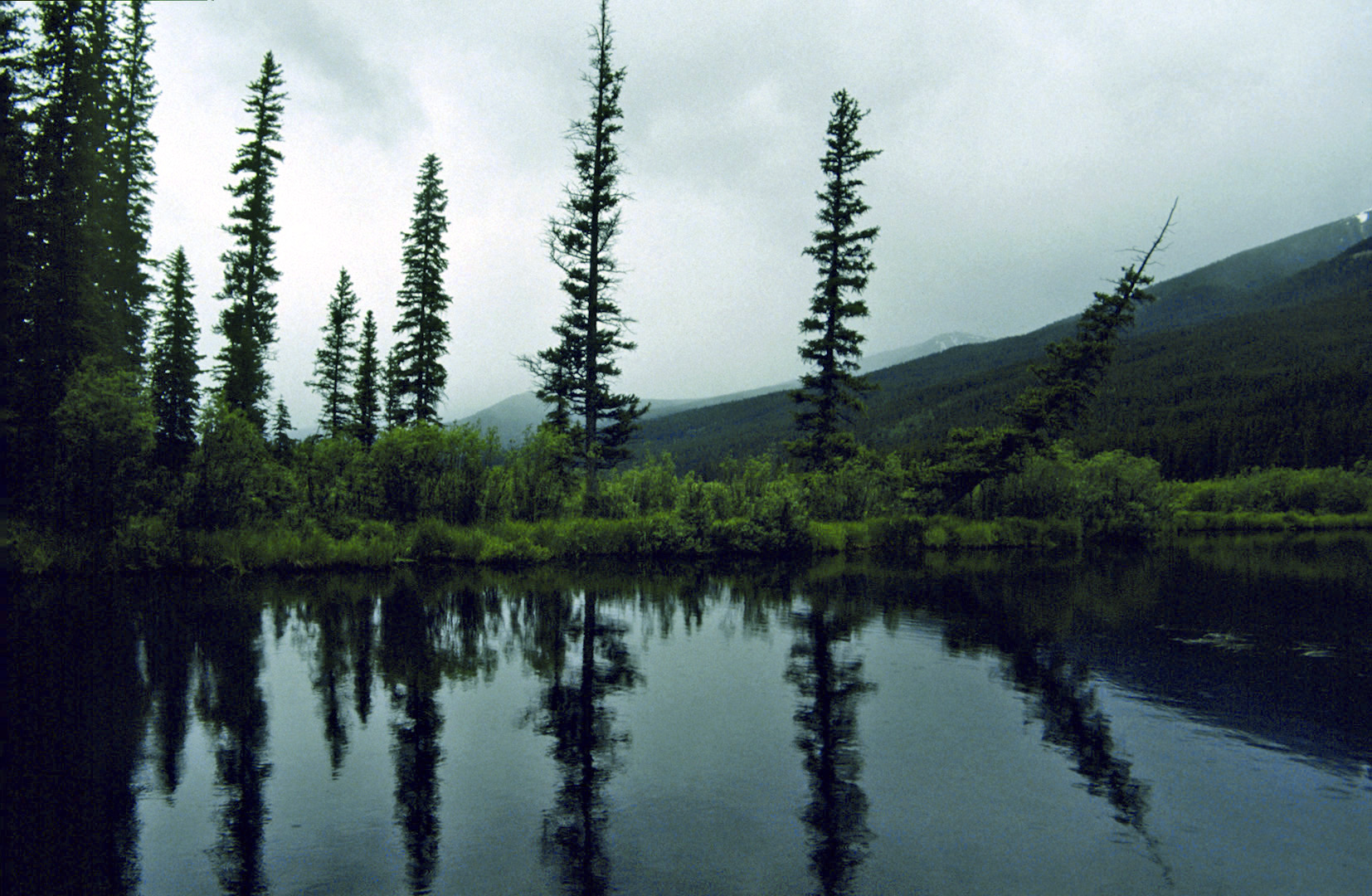 Rocky Mountain N.P., CO - 1993 (2)