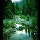 Rocky Mountains