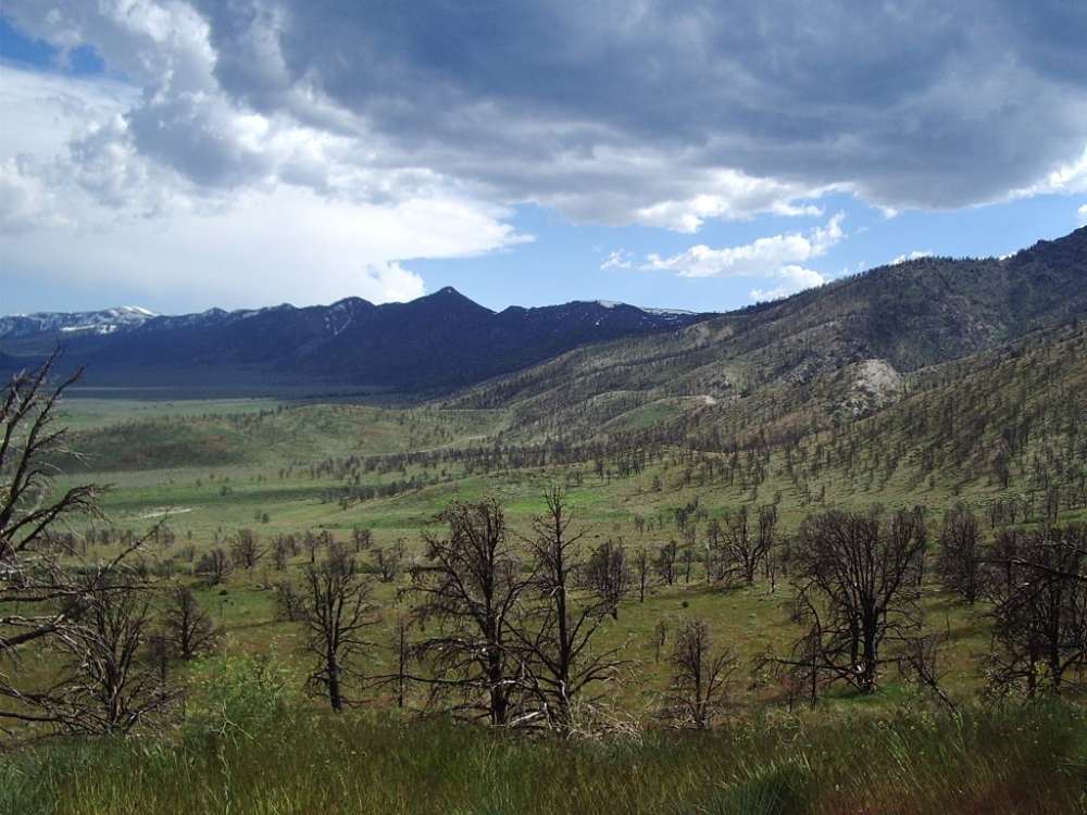 Rocky Mountains nach Waldbrand