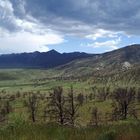 Rocky Mountains nach Waldbrand