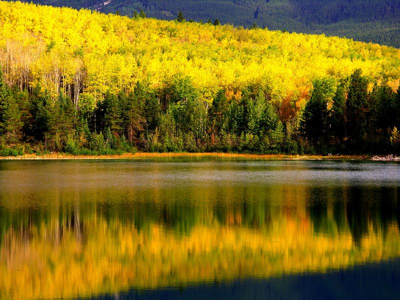 Rocky Mountains- Pyramid Lake