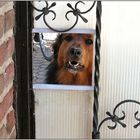 Rocky, Pförtner vom Dienst