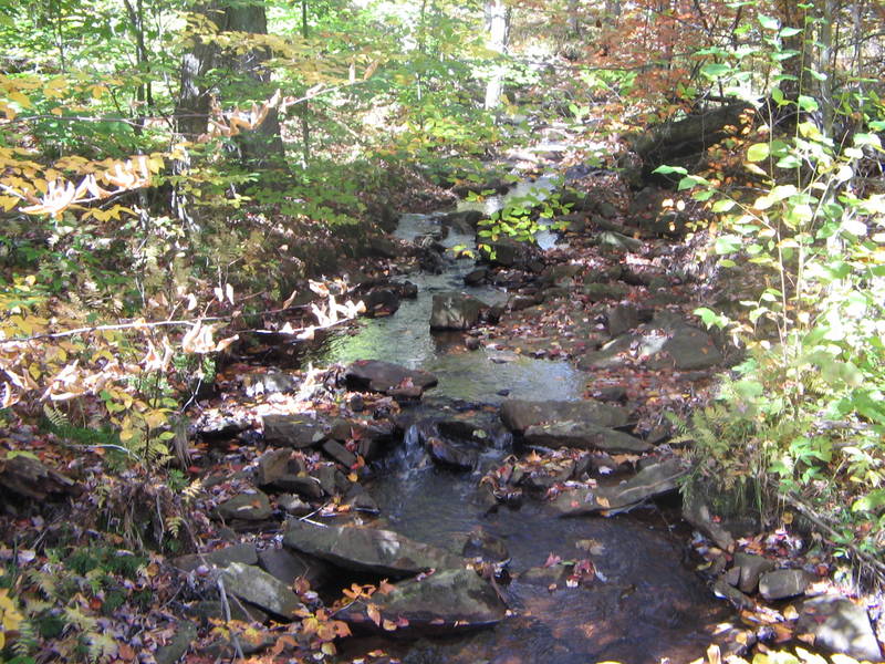 Rocky Stream