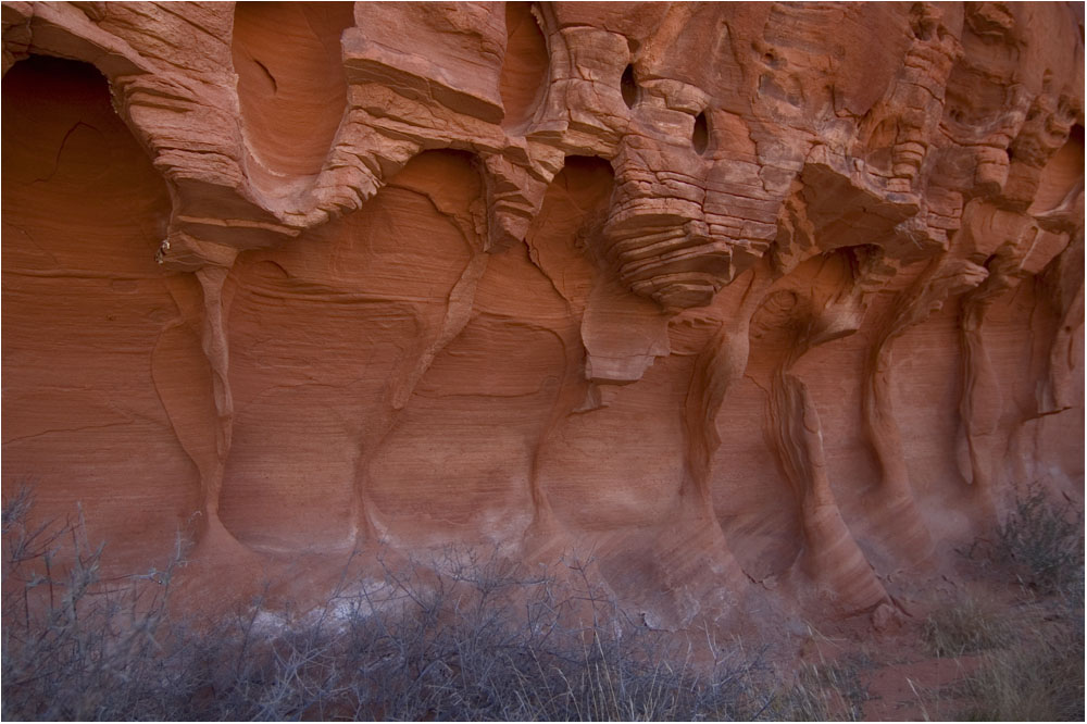 rocky veins