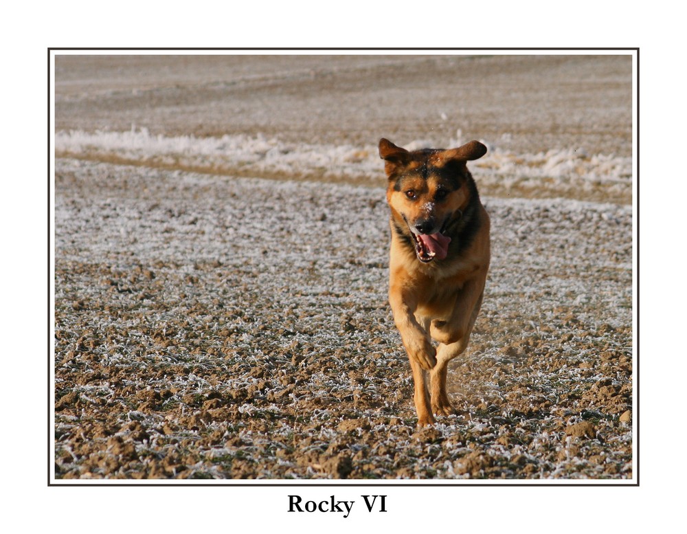 Rocky VI