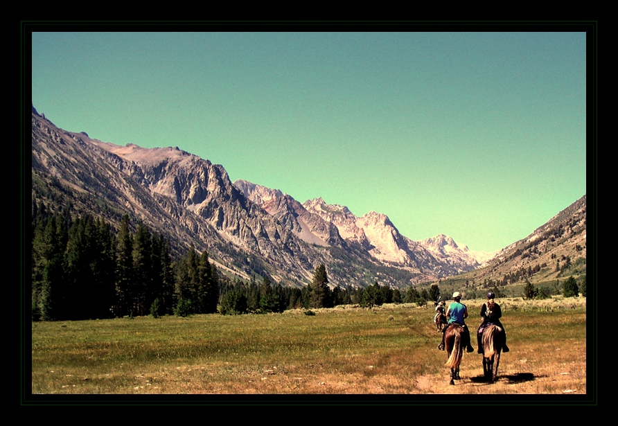 Rockys in the Mountain