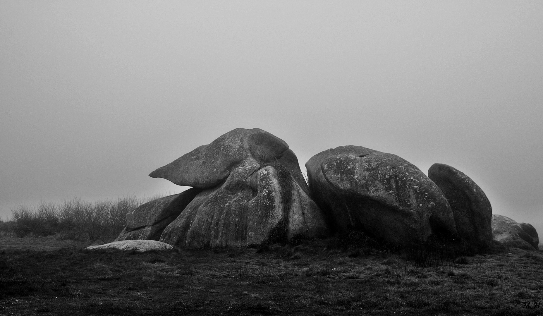 Rocs dans la brume