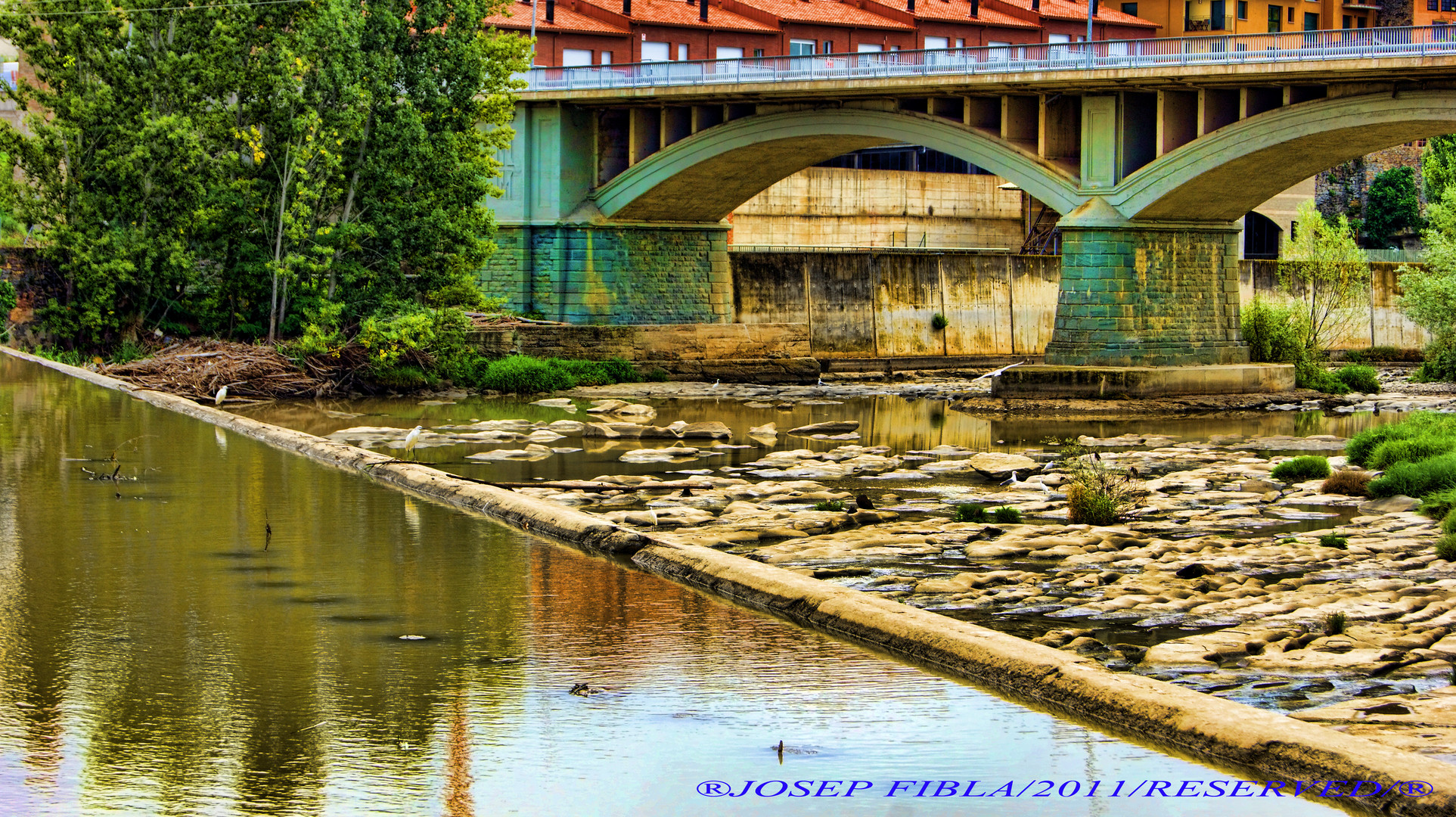 RODA DE TER PUENTE