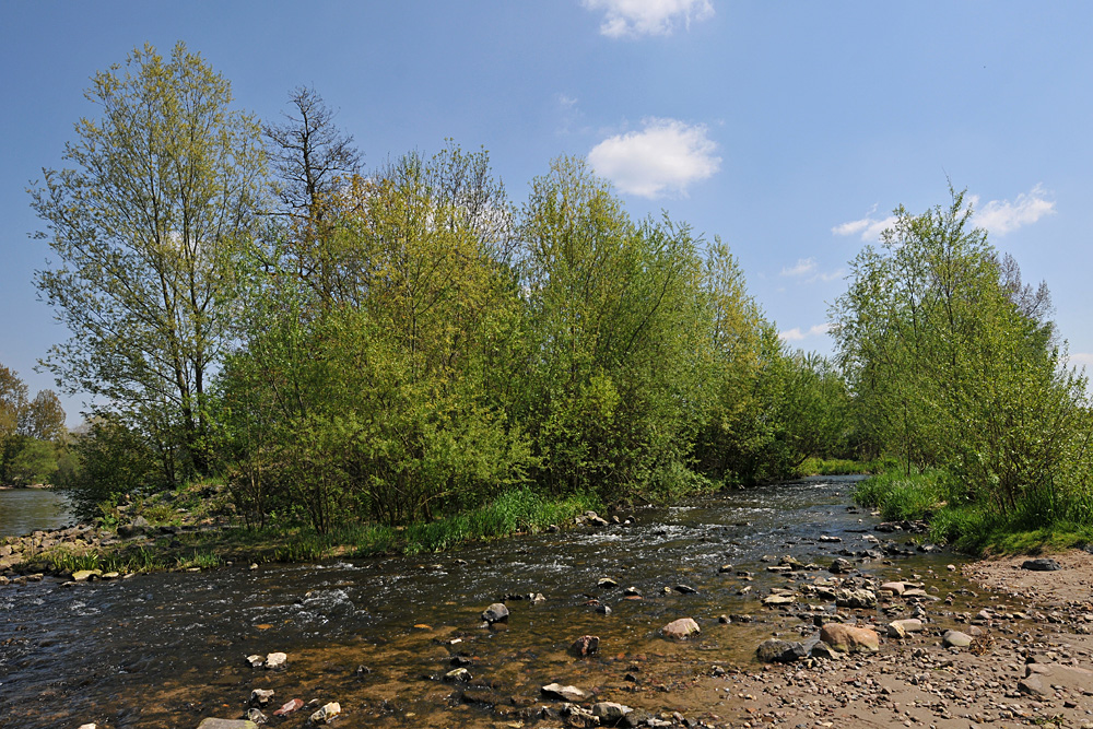 Rodau – Mündung