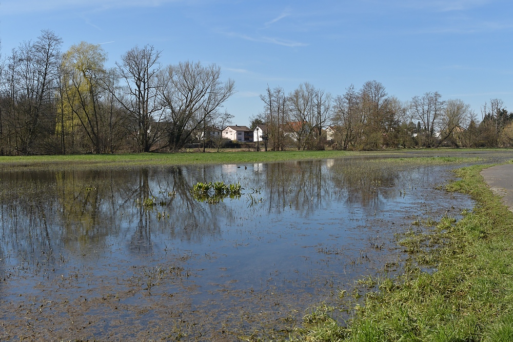 Rodau: Wiesenflutung im Frühling 01