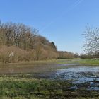 Rodau: Wiesenflutung im Frühling 02