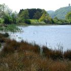 Rodder Maar bei Niederzissen / Eifel