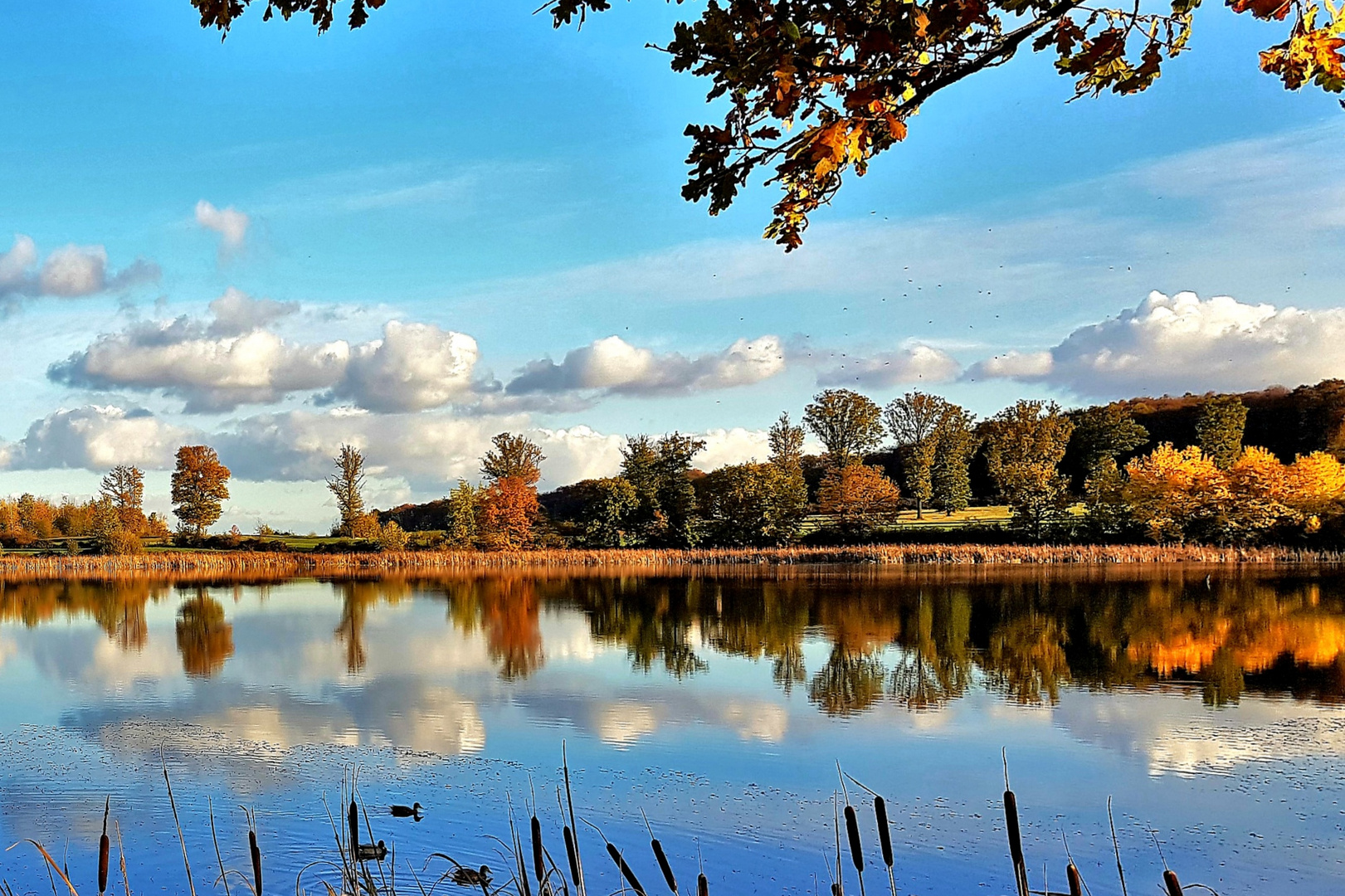 Rodder Maar im Herbst