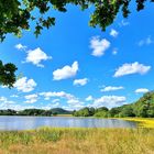 Rodder Maar im Sommer