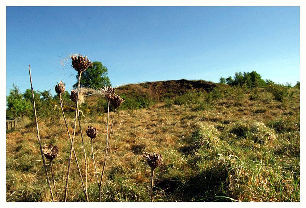 Rodderberg meets Klimawandel....2